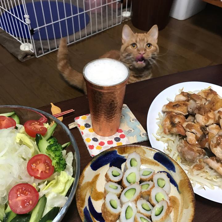 Bc79f145 190d 43e1 9a32 d7997a1a6731 1524570959368