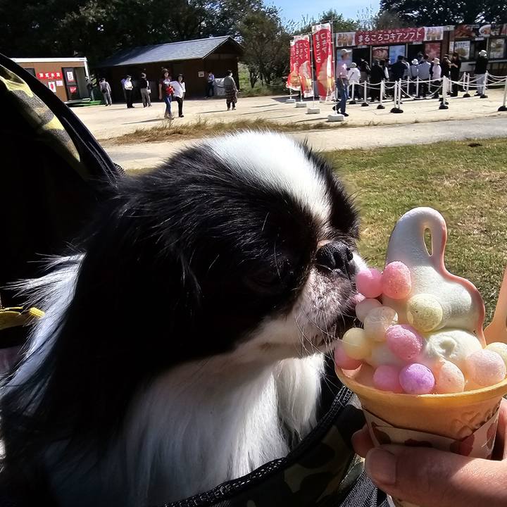 Bc79f953 1c1c 4a50 adaa b0b00803b299 1697812982872