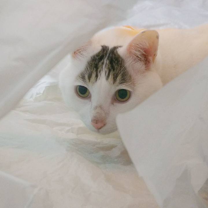 Bc79fa21 9deb 47ed 9305 255344b98c01 1542449866840