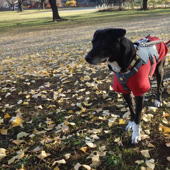 Bc7a5fcf 3526 4b80 ba5b 723551986a42 1734745232932