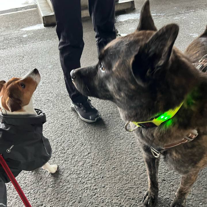 Bc7ab250 13f2 4016 a49b 001b7f5a1c66 1762691281799