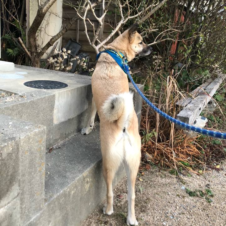 Bc7ac017 de3c 422d 908b 113f02325877 1580478356091