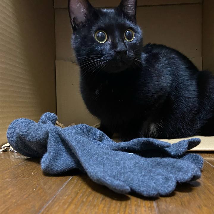 Bc7ae1ba 82dc 48c2 9787 11922ed22bc0 1634996743196