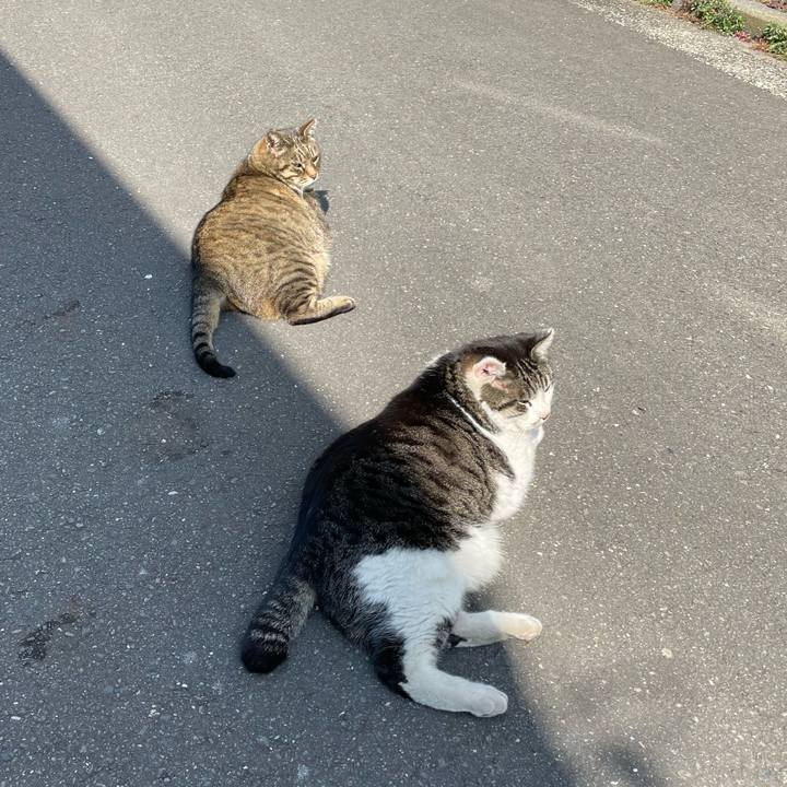 Bc7af362 0ae4 475c b4c9 027335addf2b 1646134247387