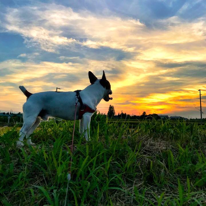 Bc7bba01 8b6d 49aa 9878 bbcd5d7363f7 1531483599701