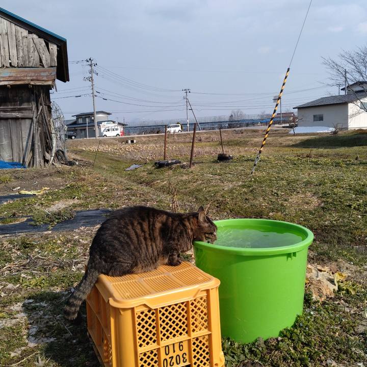 Bc7bbf11 ca22 4cc0 a240 be19ef579a13 1710490452926