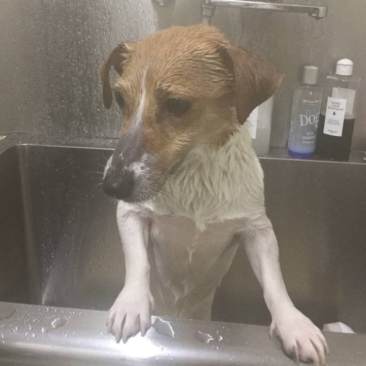 Bc7bd32e 2f3e 4717 a4bc c14fe4c4ec10 1549784173324