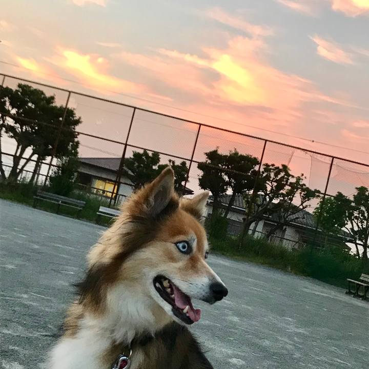 Bc7be017 3641 4a4c 8658 2707bc1cd050 1532259964853