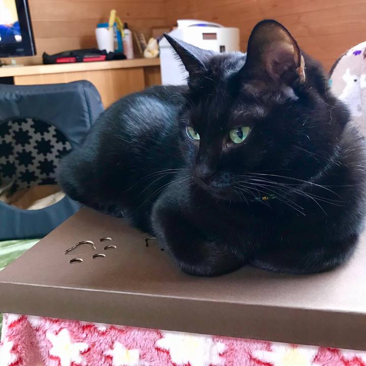 Bc7c1a25 d334 4f5e 809d 3bae80fe77a5 1508469379311