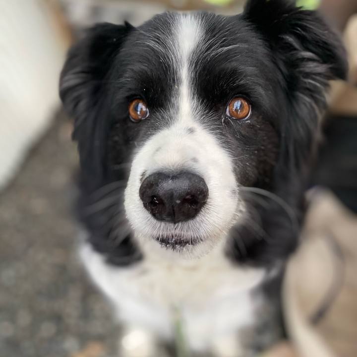 Bc7c3e46 07b6 437a 953c 1048a518202e 1649977475993