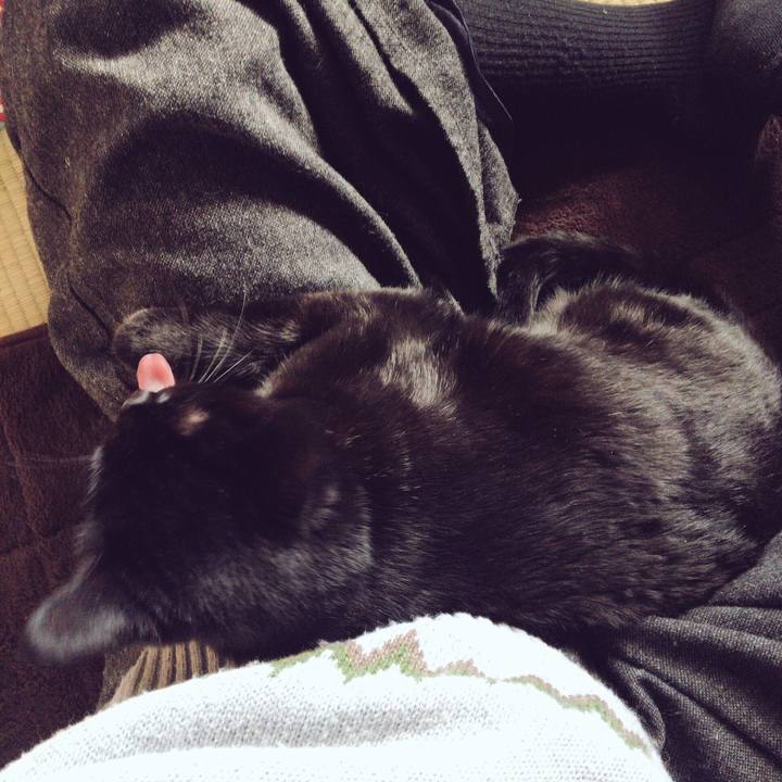 Bc7c5237 44cb 4b07 91d2 aa93ae998b65 1515211483751