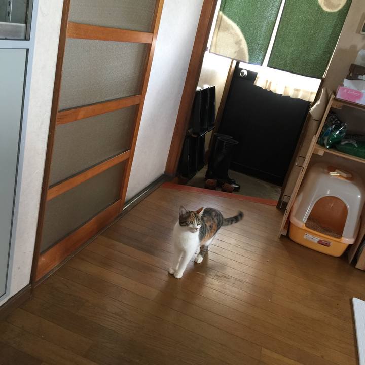 Bc7c7f71 38aa 4c2a 9bc4 324bc0738c86 1644972711775