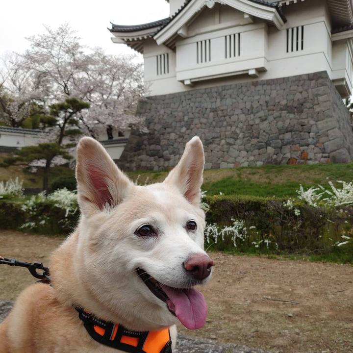 Bc7c7f9c 0ed7 4167 b8d8 d87cc14f24b3 1617130802414