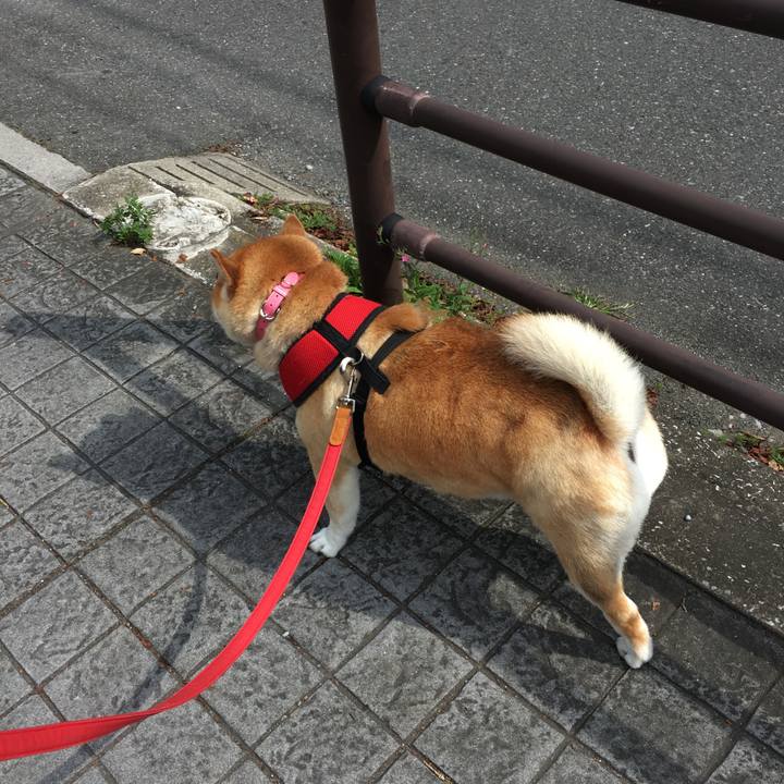 Bc7c8864 ebcc 45a0 b402 b1e178a0b196 1601784325795