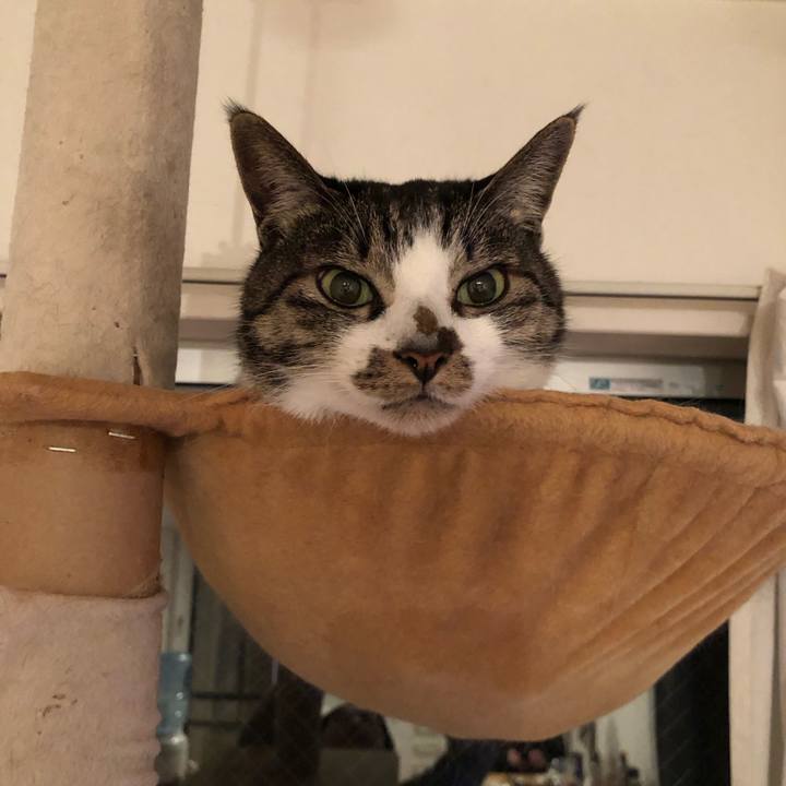 Bc7c90f9 1b5d 4486 ac1e 84d4197c6cb2 1548812107178