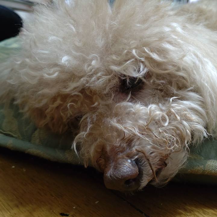 Bc7c9bb6 bfcf 4c82 bd72 98af553bf69d 1686485645172