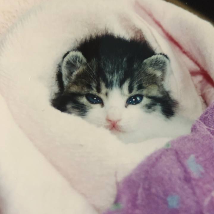 Bc7cb276 84d5 45c7 991f a0bcc49f33d6 1743458462257