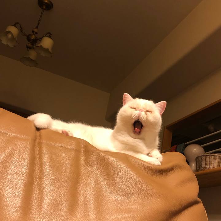 Bc7cf99a c36b 436e 8ffc 50c74de458d3 1629542995848