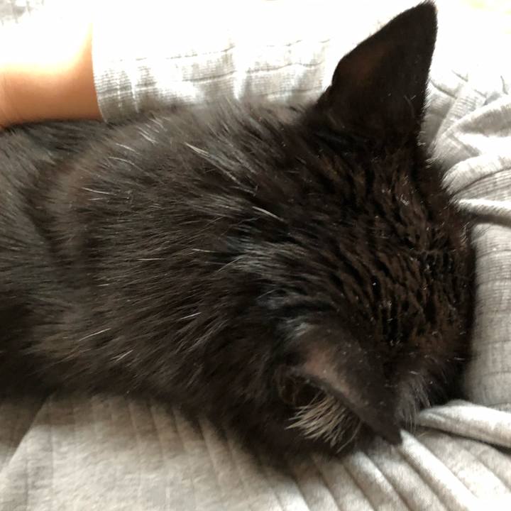 Bc7d3397 f030 46bd a964 2dcd00734524 1587200347668