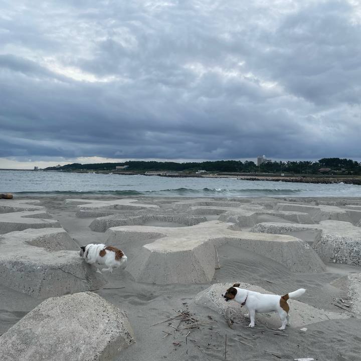 Bc7d46cd c869 40e0 a4f2 e0c6da69f954 1727478549439