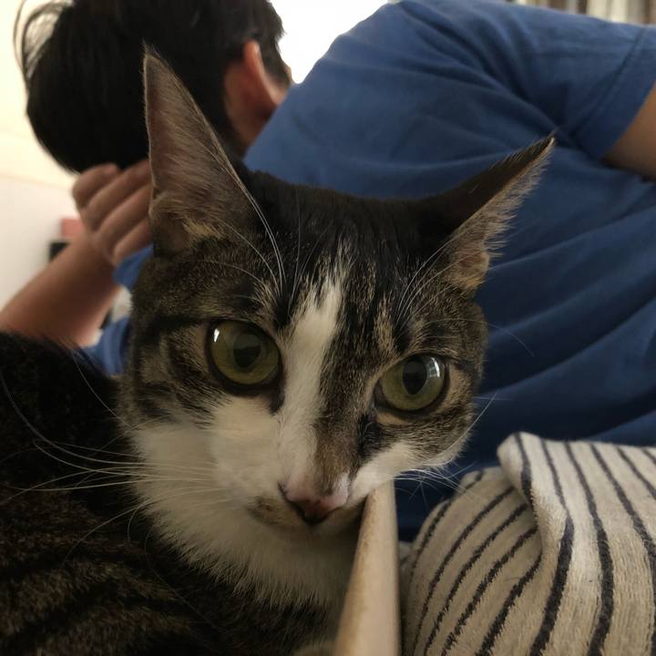 Bc7d48aa 0ab3 4fcf a0c4 e215d0a08b2d 1537767265943