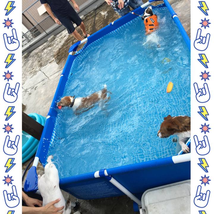 Bc7d7bed 56d0 4b73 ae40 eb2be4489617 1565749753198