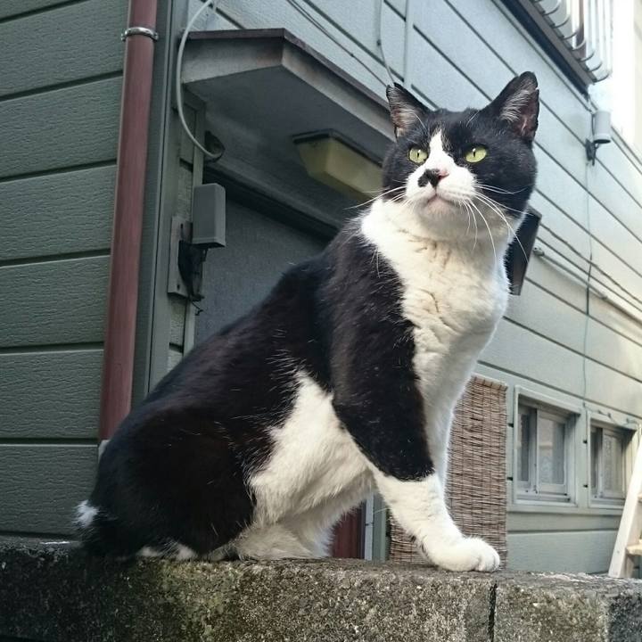 Bc7dae4c e402 4ec4 9b0a d839b896b4b1 1524382879480