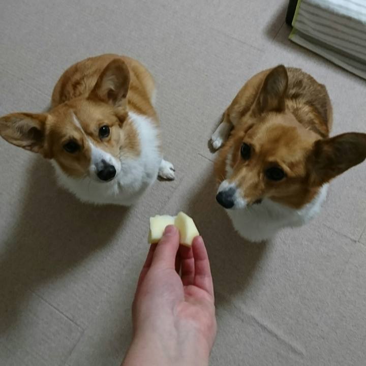 Bc7db25c f72f 4d56 a1c4 c6efa9f5d044 1514203056816