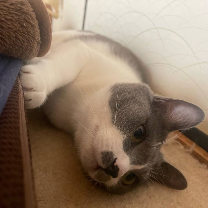 Bc7dbcda f7cc 4679 a056 c81ceab8e3ec 1668944688696