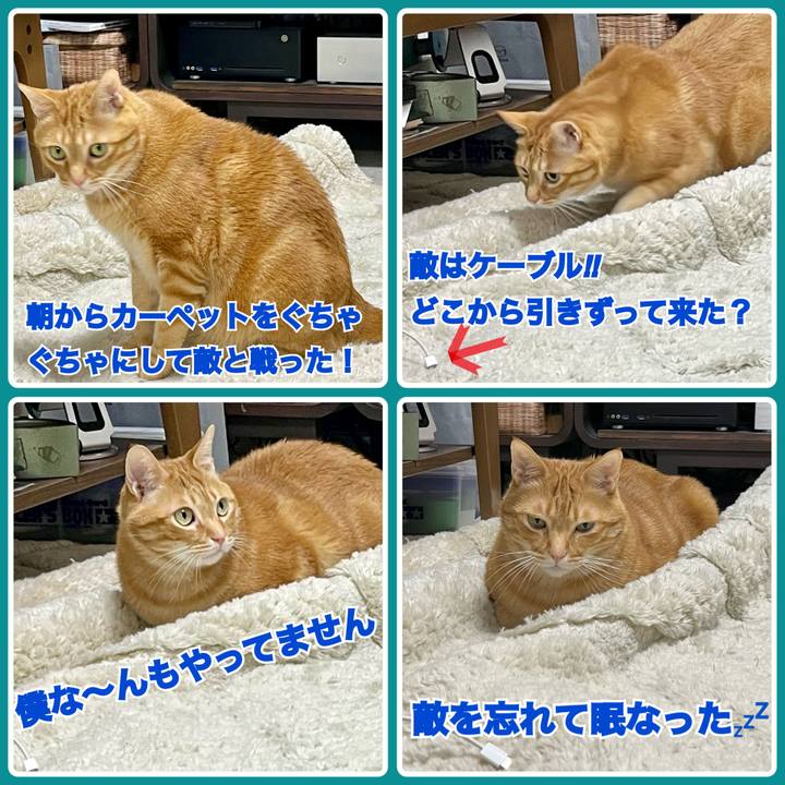 Bc7e5064 f715 445e b209 8425fe29e7ea 1684027478540