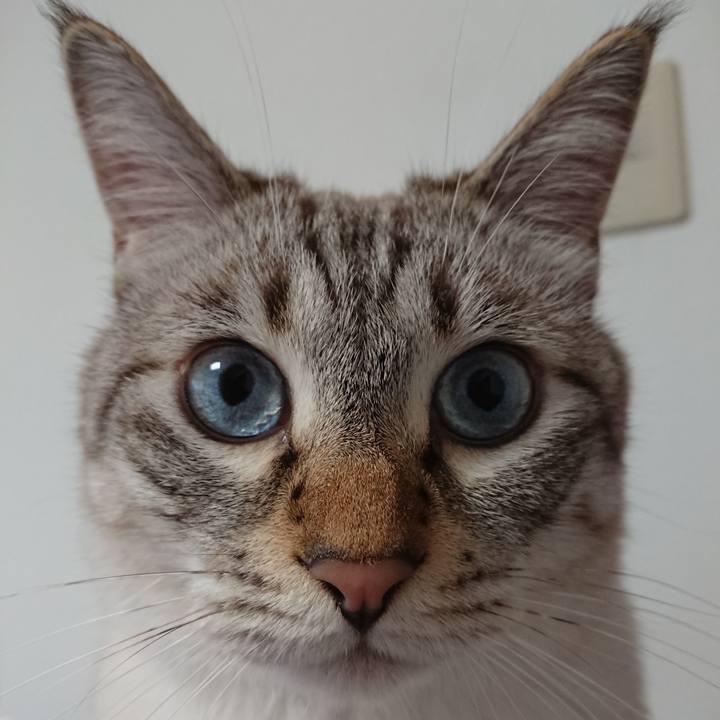 Bc7eb3b8 1f5c 4f21 bc58 8e5c0133d05b 1536048508467