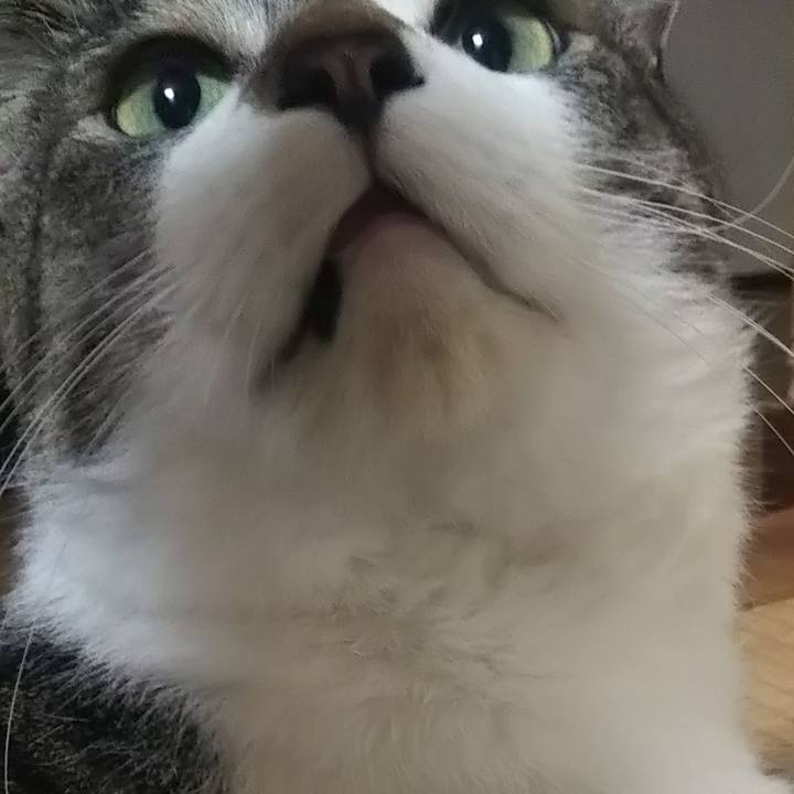 Bc7ec818 df46 4ace a84e 86ba90041863 1617457822850