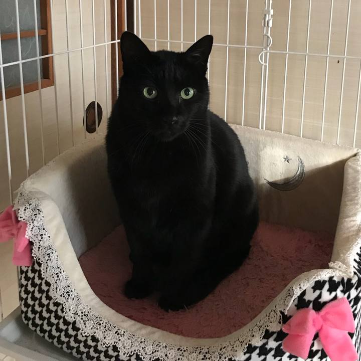 Bc7eef6e 0657 4022 a175 8c0da6196255 1517708742169