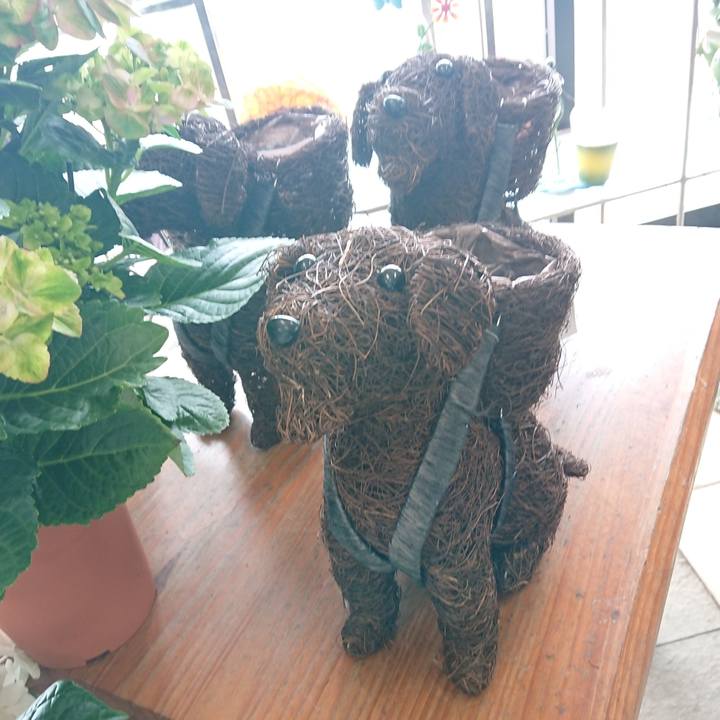 Bc7f0a7d 8152 4d4b 908d 63ad584dcdd9 1619750671369