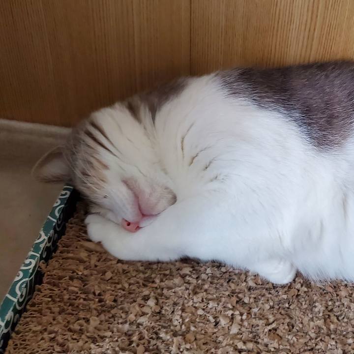 Bc7f1da0 6f37 48f1 a8b6 1368cec3f244 1704899310947