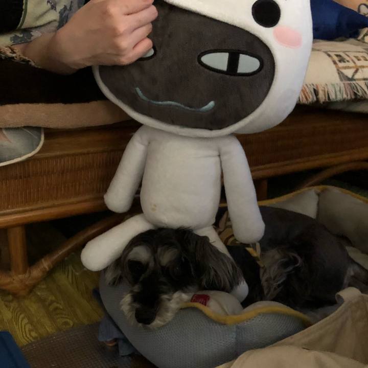 Bc7f2666 7532 4d56 9dad 1ae02945d2a4 1533448376964