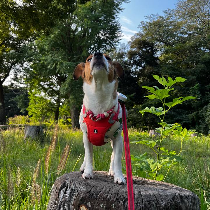 Bc7f2eb6 99e7 4811 87d9 9128a9dedf8b 1759319889639