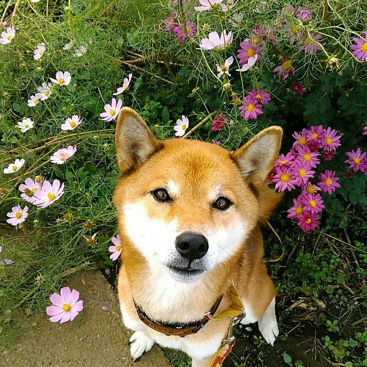 Bc7fa510 325b 44bf 869e 495b7287cbcf 1572739142885