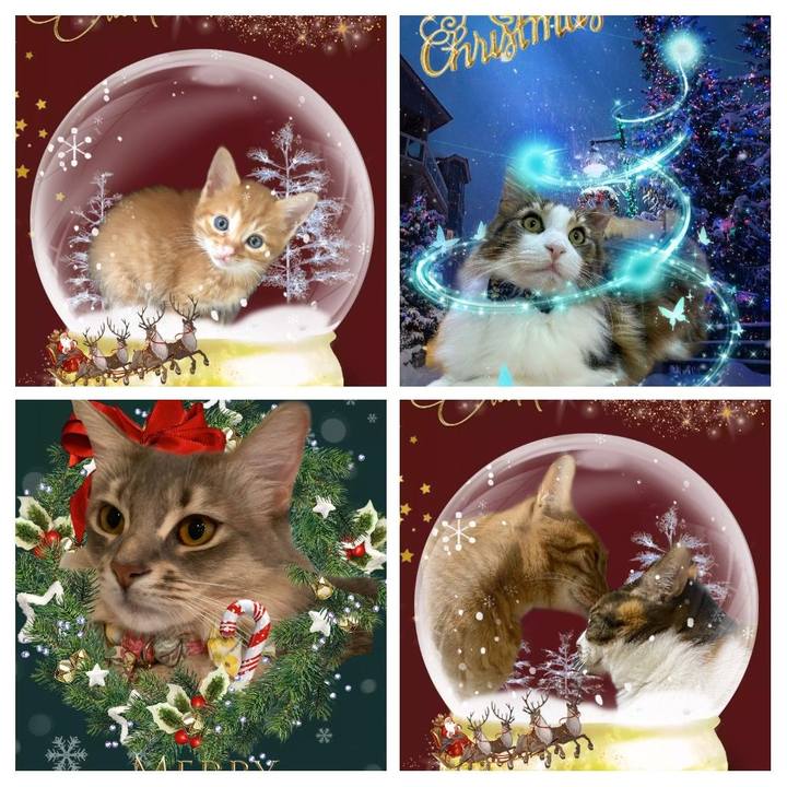 Bc7fa595 aeda 429d 846d 521297df91ab 1640238306754