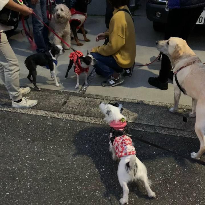 Bc7fbd55 b3df 4d4a 8e59 30900db6f4db 1731141159567