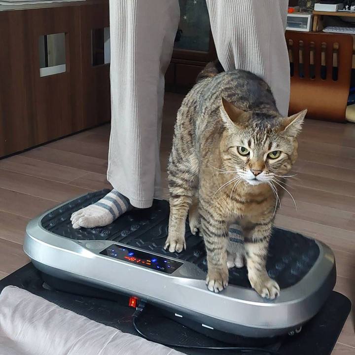 Bc7fdcd6 64d7 45b4 9d10 3a58aa4a8d42 1646438072501