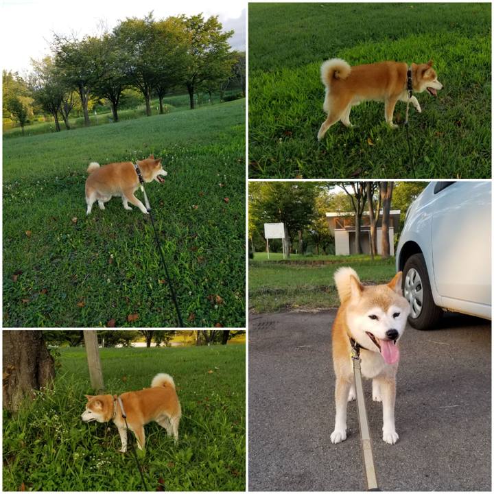 Bc800fc5 60c7 428e a15f 5c125e0e41ee 1659863289382