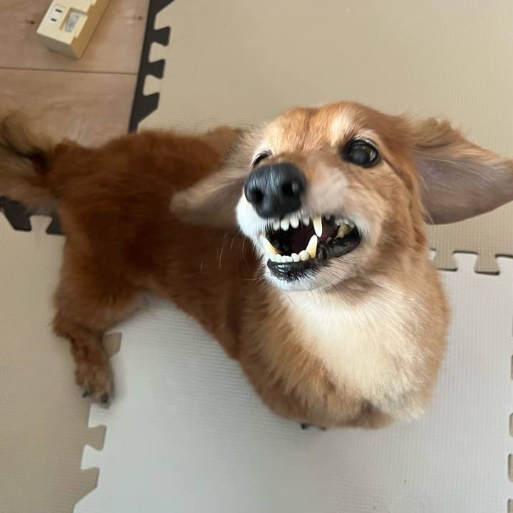 Bc803693 ebd7 4eda b158 39d36c265c3f 1647514240517