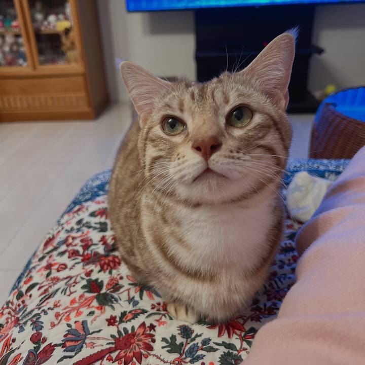 Bc80c36f f423 4025 a0a4 f8f93a6ae8cf 1672495261147