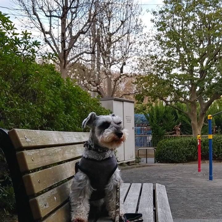 Bc80cbdb 1ba3 4124 ad78 eadc53c2f1c3 1552950999870