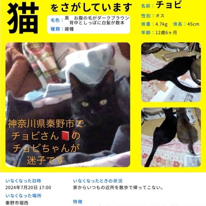 Bc80d361 3916 452d 90e1 cb0fcaf194fb 1729682460787