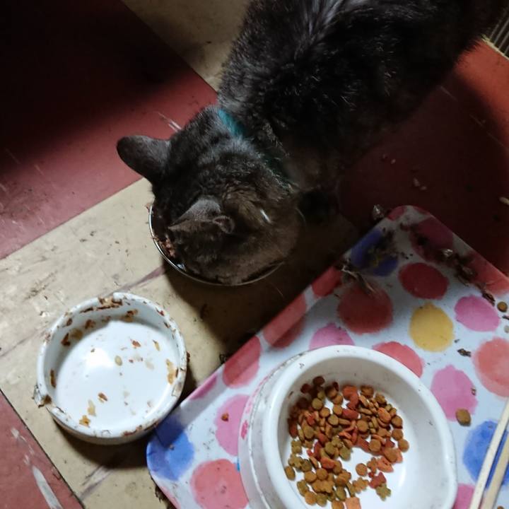 Bc811497 a013 4ecb 8de6 041cd1ae1a91 1569104822266