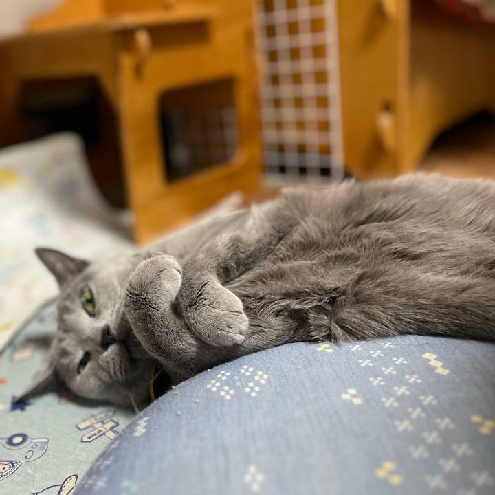 Bc812902 19a4 4bb8 afcc eb1d6a9cc127 1722597492890