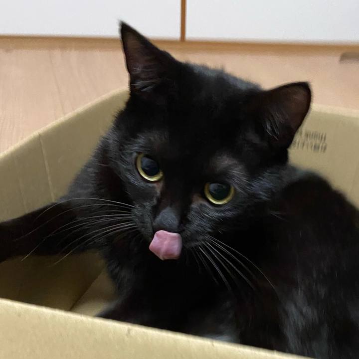 Bc8147c9 fd68 4e38 9ae1 5c6504fb1c98 1636718519708