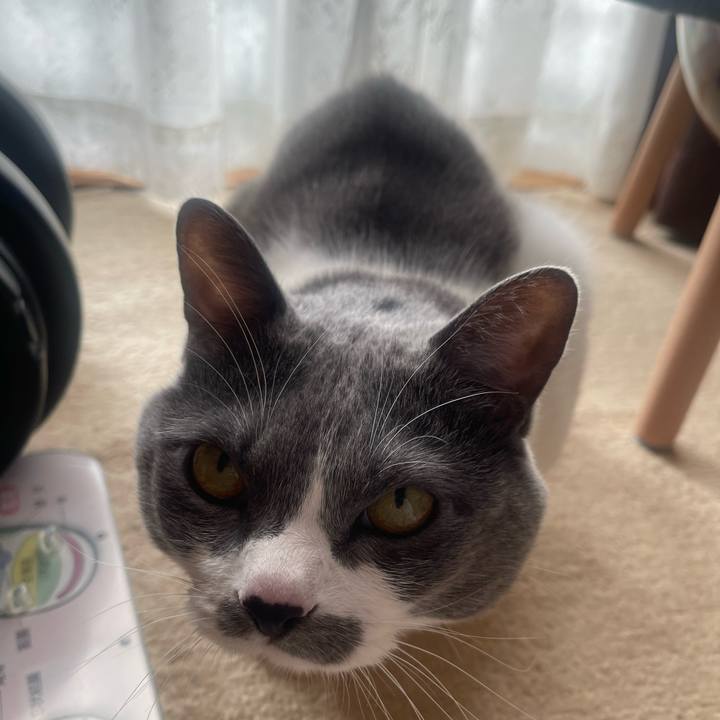 Bc818a89 35d6 4555 b3c3 16d8226e5239 1735952142997